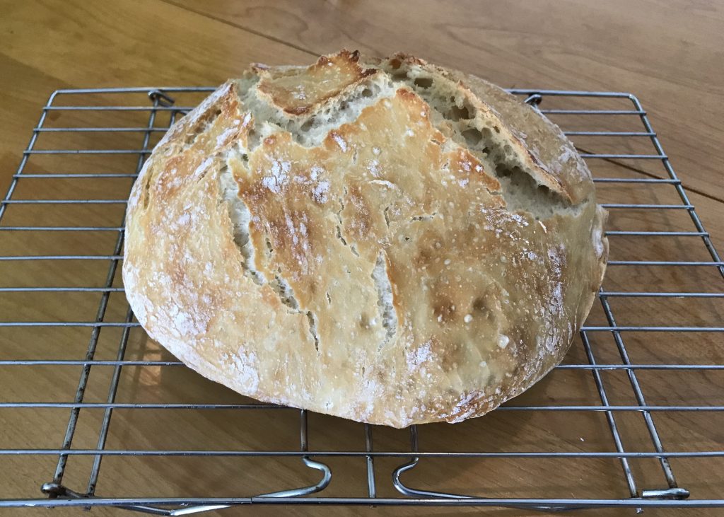 homemade rustic bread recipe